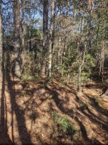 16012 Wood Grove Way, Willis, TX 77378