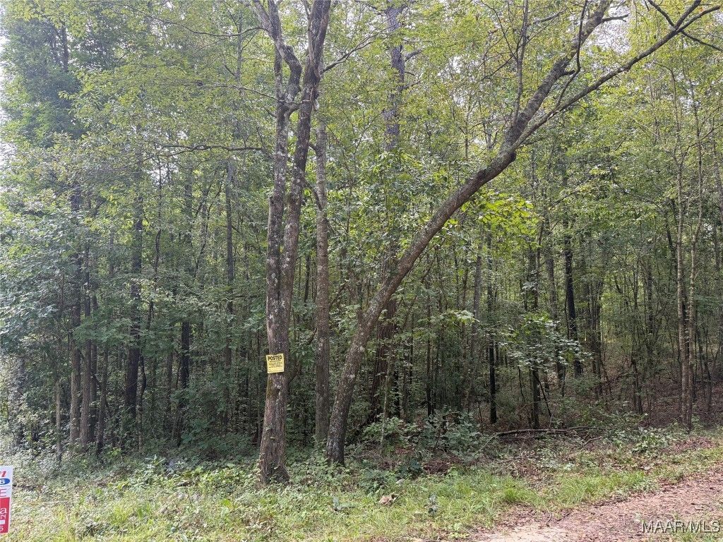0 Hunter Loop Road, Marbury, AL 36051