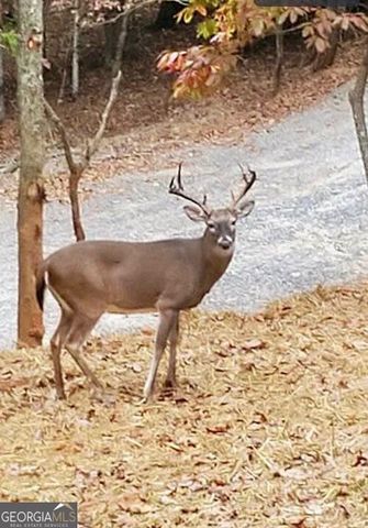 282 Armor Way N, Ellijay, GA 30540