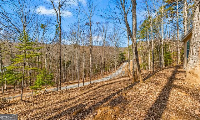 282 Armor Way N, Ellijay, GA 30540