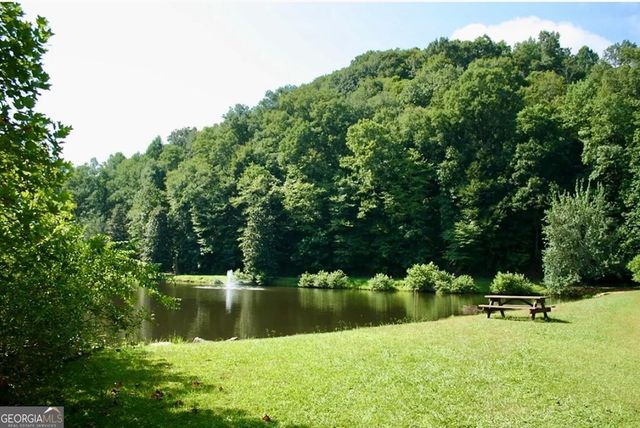 282 Armor Way N, Ellijay, GA 30540