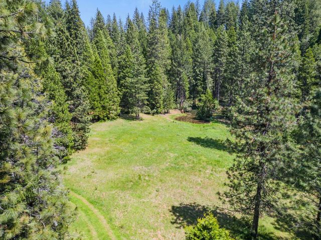 14138 La Porte Rd, Strawberry Valley, CA 95981