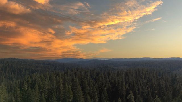 14138 La Porte Rd, Strawberry Valley, CA 95981