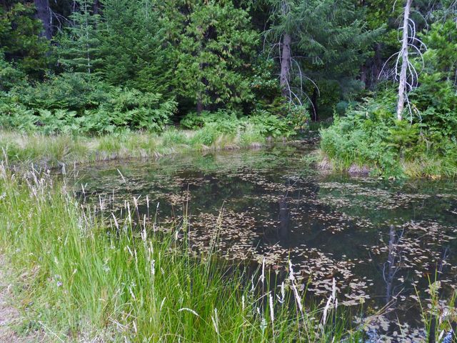 14138 La Porte Rd, Strawberry Valley, CA 95981