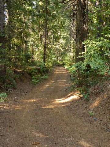 14138 La Porte Rd, Strawberry Valley, CA 95981