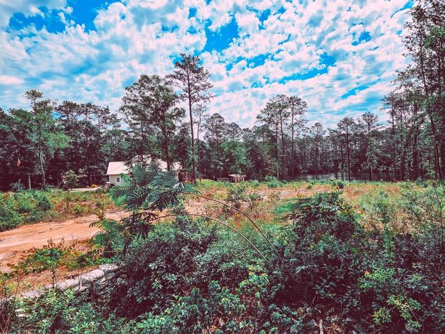 Lot 18 Quail Ridge Road, Defuniak Springs, FL 32435