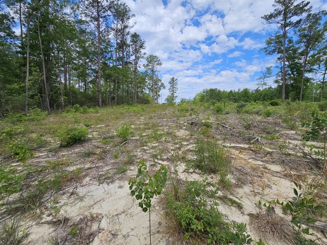 Lot 18 Quail Ridge Road, Defuniak Springs, FL 32435