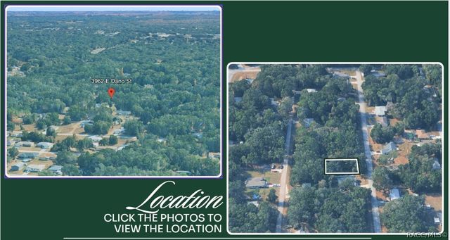 3962 E Dano Street, Inverness, FL 34453
