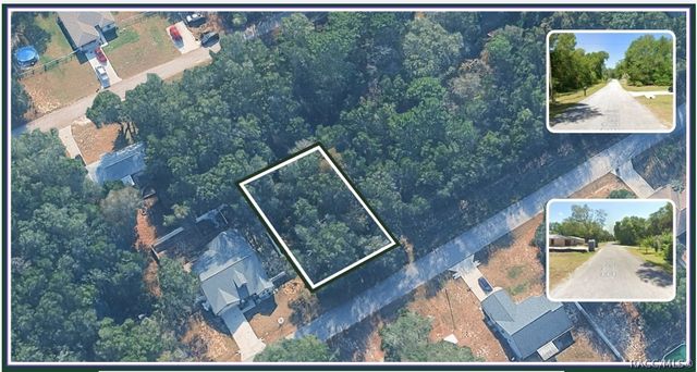 3962 E Dano Street, Inverness, FL 34453