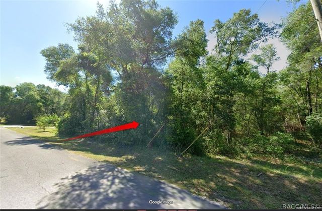 3962 E Dano Street, Inverness, FL 34453