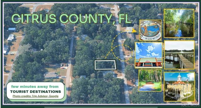 3962 E Dano Street, Inverness, FL 34453