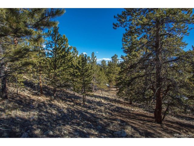 123 La Plata Peak Dr, Twin Lakes, CO 81251