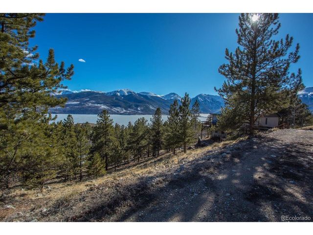 123 La Plata Peak Dr, Twin Lakes, CO 81251