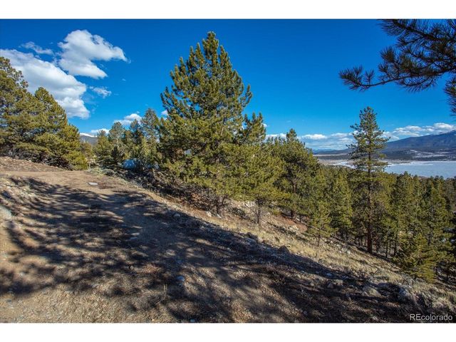 123 La Plata Peak Dr, Twin Lakes, CO 81251