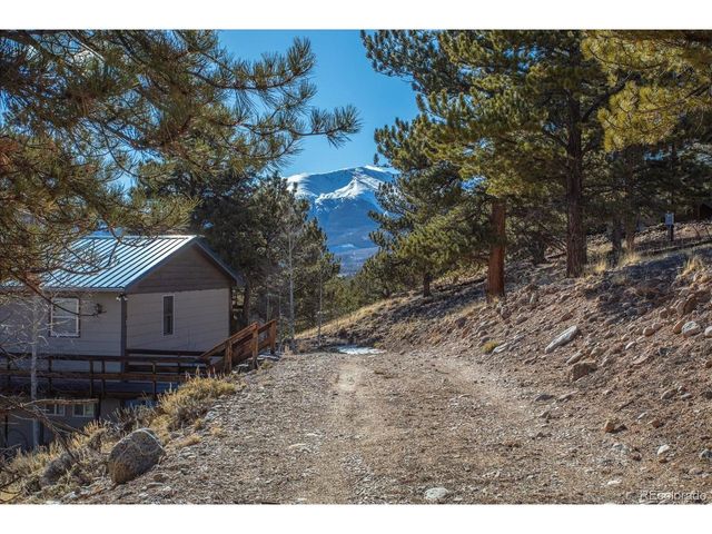 123 La Plata Peak Dr, Twin Lakes, CO 81251