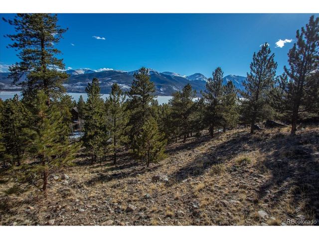 123 La Plata Peak Dr, Twin Lakes, CO 81251
