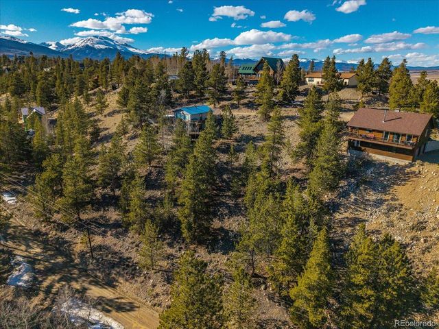 123 La Plata Peak Dr, Twin Lakes, CO 81251