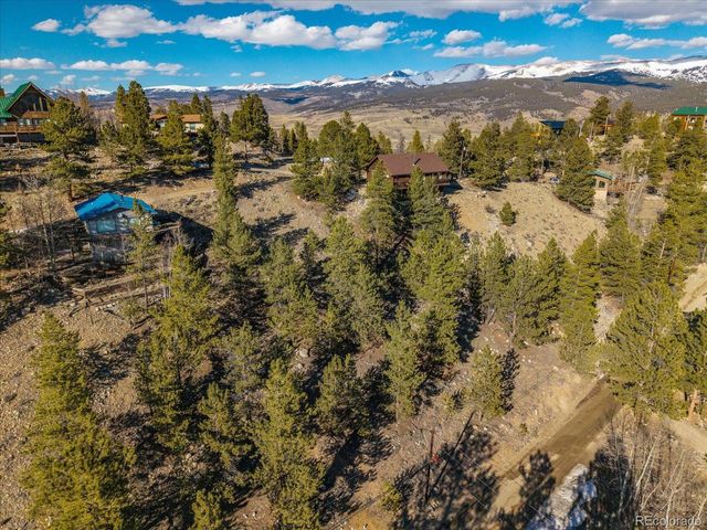 123 La Plata Peak Dr, Twin Lakes, CO 81251