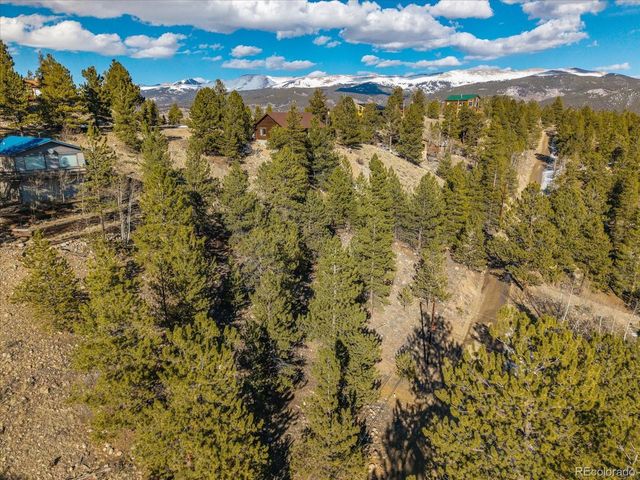 123 La Plata Peak Dr, Twin Lakes, CO 81251