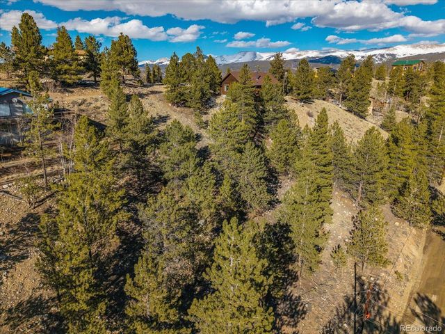 123 La Plata Peak Dr, Twin Lakes, CO 81251