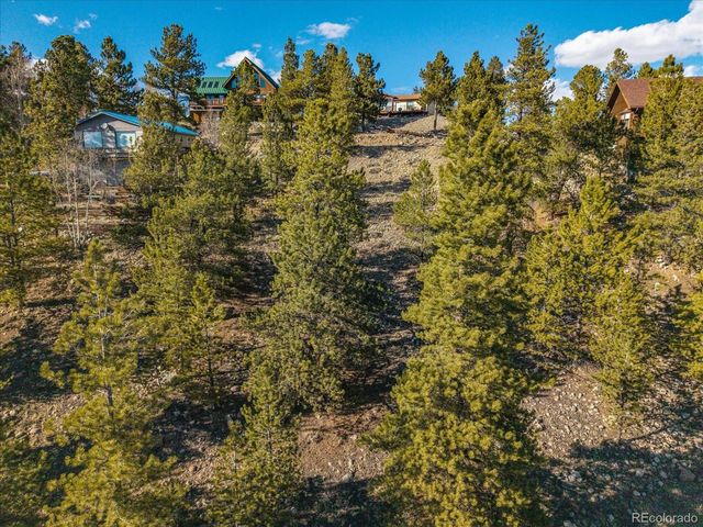 123 La Plata Peak Dr, Twin Lakes, CO 81251