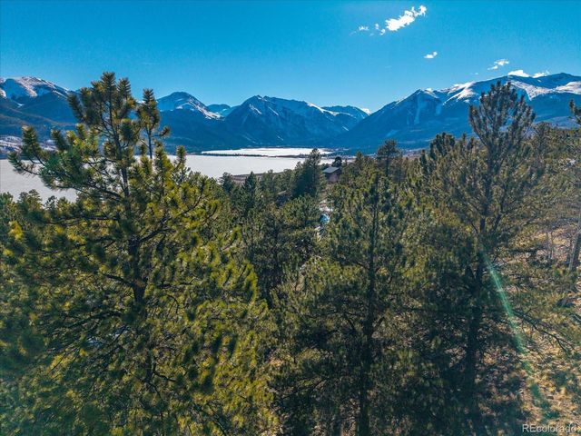 123 La Plata Peak Dr, Twin Lakes, CO 81251