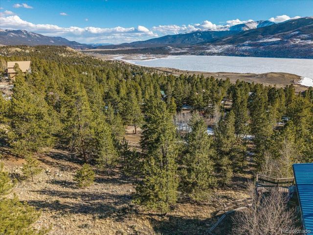 123 La Plata Peak Dr, Twin Lakes, CO 81251