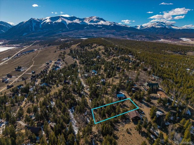 123 La Plata Peak Dr, Twin Lakes, CO 81251