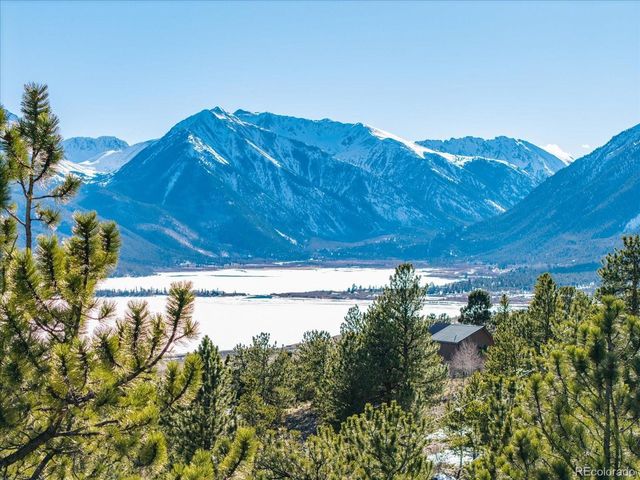 123 La Plata Peak Dr, Twin Lakes, CO 81251