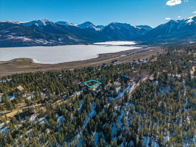 123 La Plata Peak Dr, Twin Lakes, CO 81251