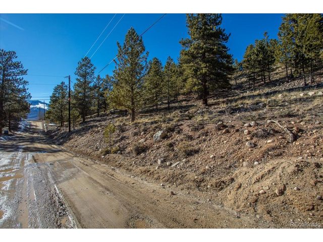 123 La Plata Peak Dr, Twin Lakes, CO 81251