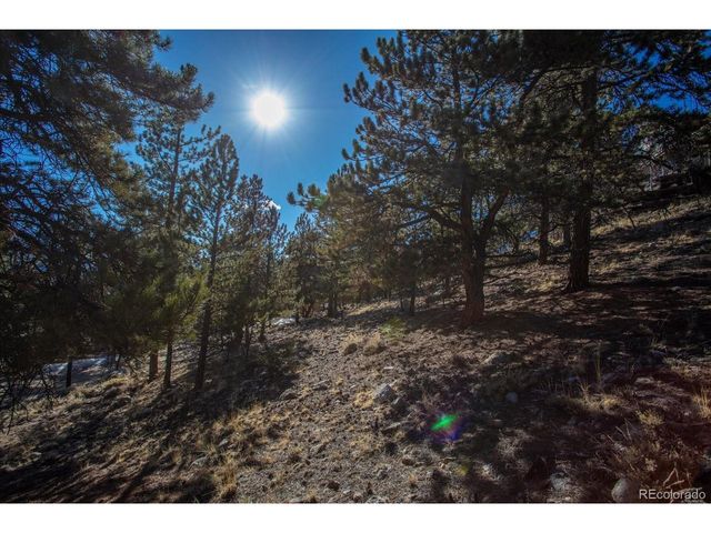 123 La Plata Peak Dr, Twin Lakes, CO 81251