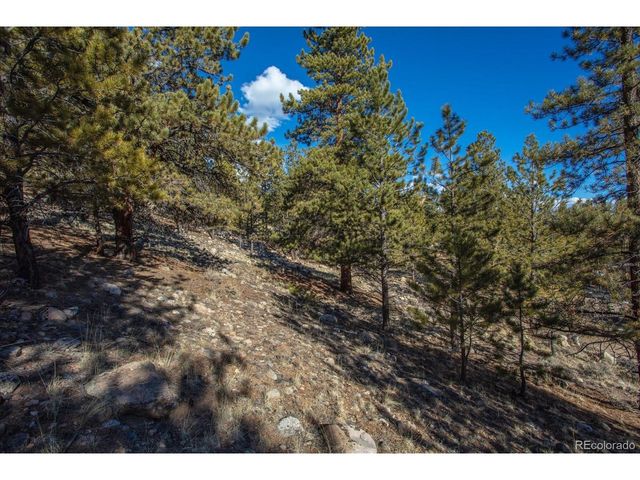 123 La Plata Peak Dr, Twin Lakes, CO 81251