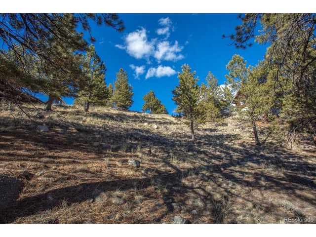 123 La Plata Peak Dr, Twin Lakes, CO 81251