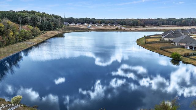 260 Rockbridge Drive, Madison, MS 39110