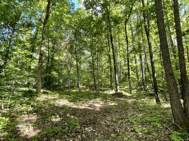 2354 Wayne Rd, Bon Aqua, TN 37025