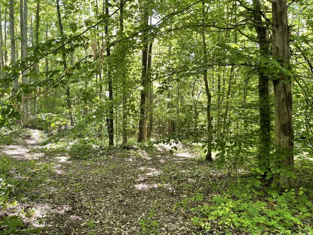 2354 Wayne Rd, Bon Aqua, TN 37025
