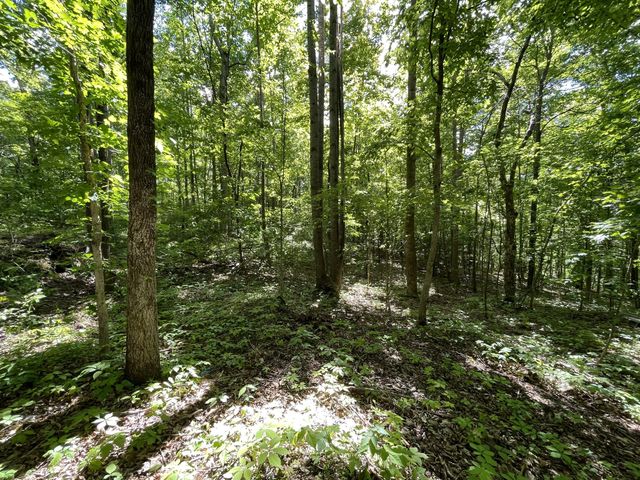 2354 Wayne Rd, Bon Aqua, TN 37025