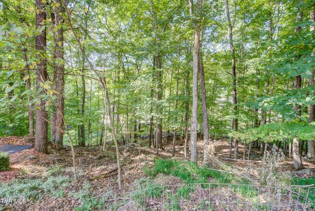 144 Blue Bird Drive, Johnson City, TN 37601