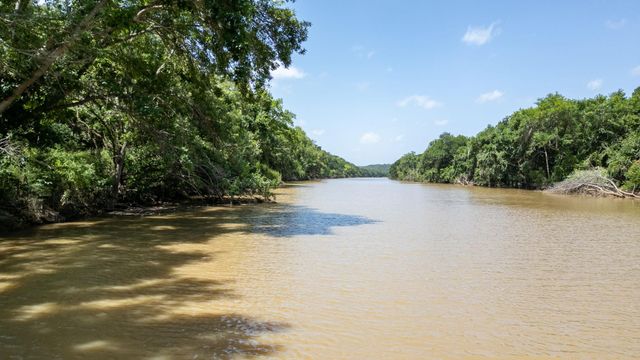 728 CR 1756, Lometa, TX 76853
