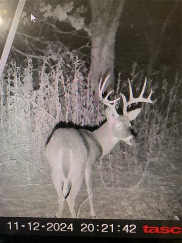 728 CR 1756, Lometa, TX 76853