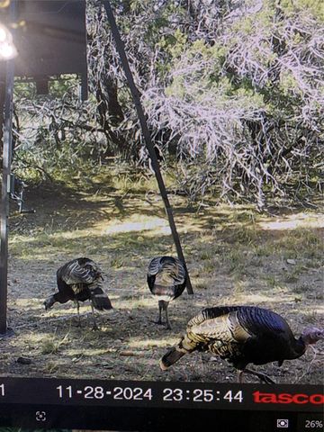 728 CR 1756, Lometa, TX 76853