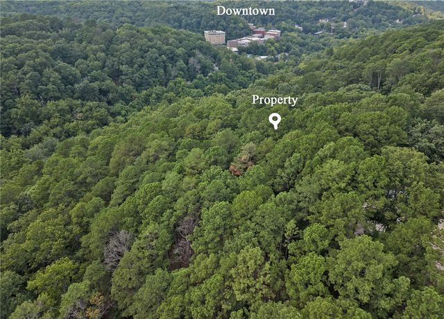 TBD E Mountain Street, Eureka Springs, AR 72632