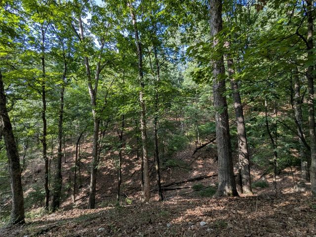 TBD E Mountain Street, Eureka Springs, AR 72632