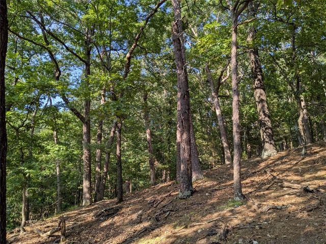 TBD E Mountain Street, Eureka Springs, AR 72632