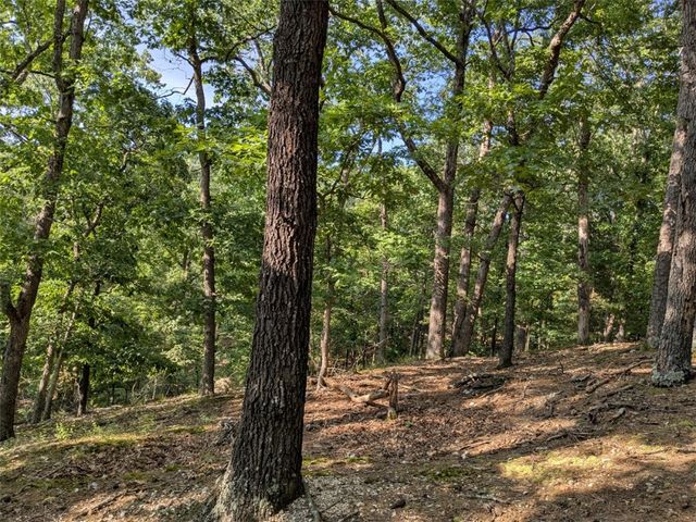 TBD E Mountain Street, Eureka Springs, AR 72632