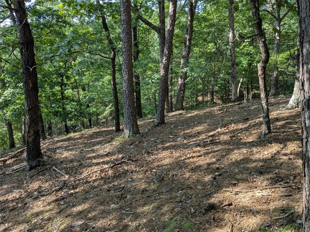 TBD E Mountain Street, Eureka Springs, AR 72632