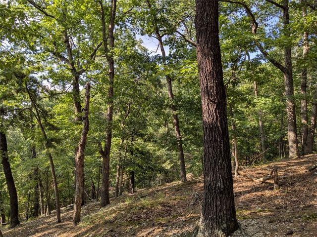 TBD E Mountain Street, Eureka Springs, AR 72632
