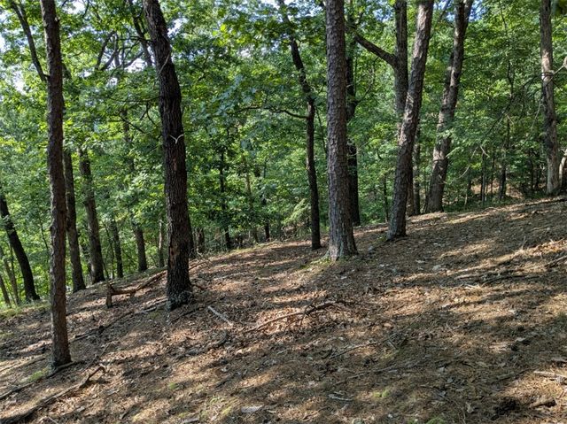 TBD E Mountain Street, Eureka Springs, AR 72632