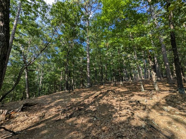 TBD E Mountain Street, Eureka Springs, AR 72632